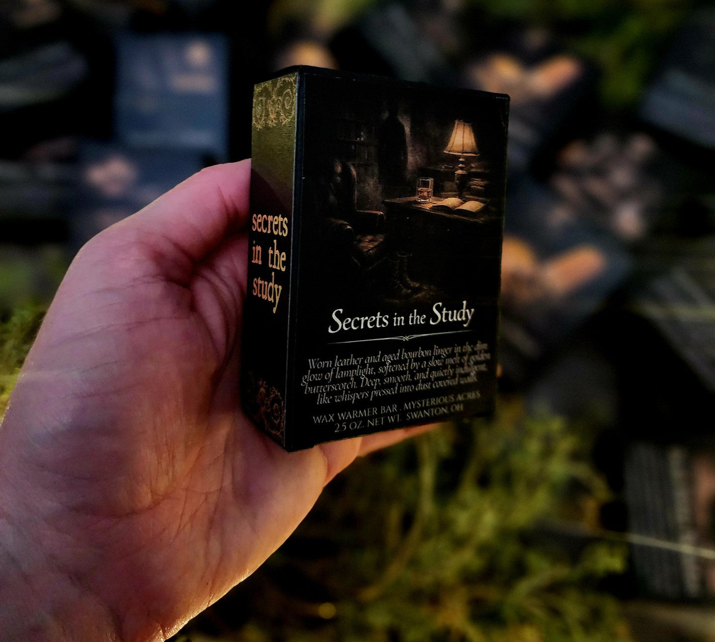 Secrets in the Study