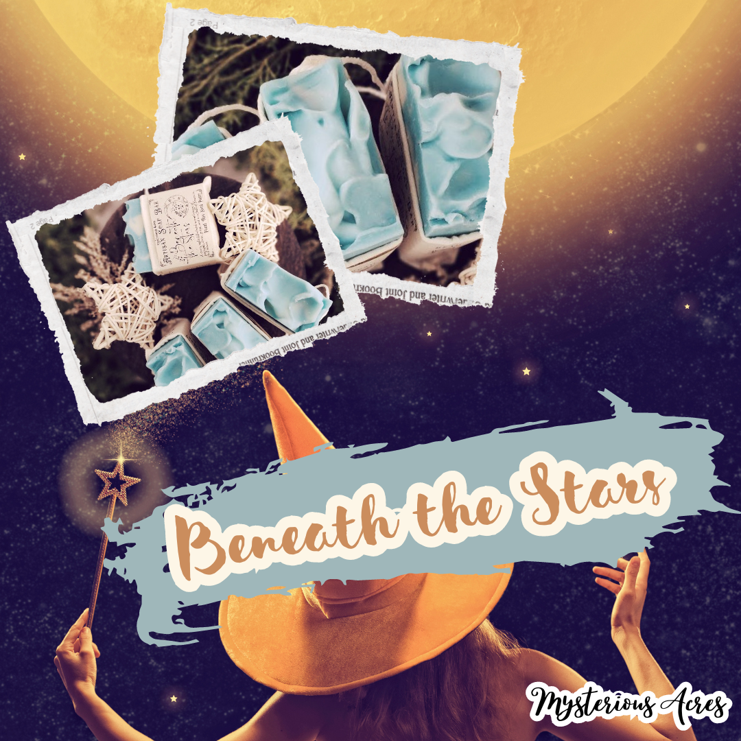 Beneath the Stars in A Bar That Once Belonged ❦