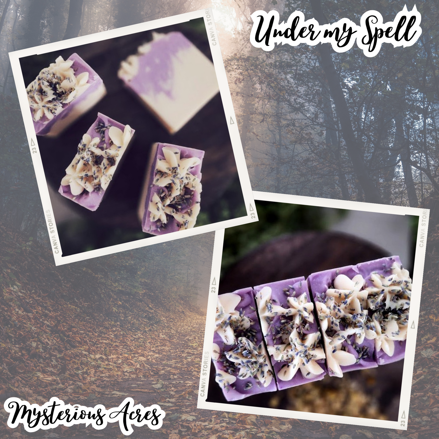 Under my Spell in A Bar That Once Belonged ❦