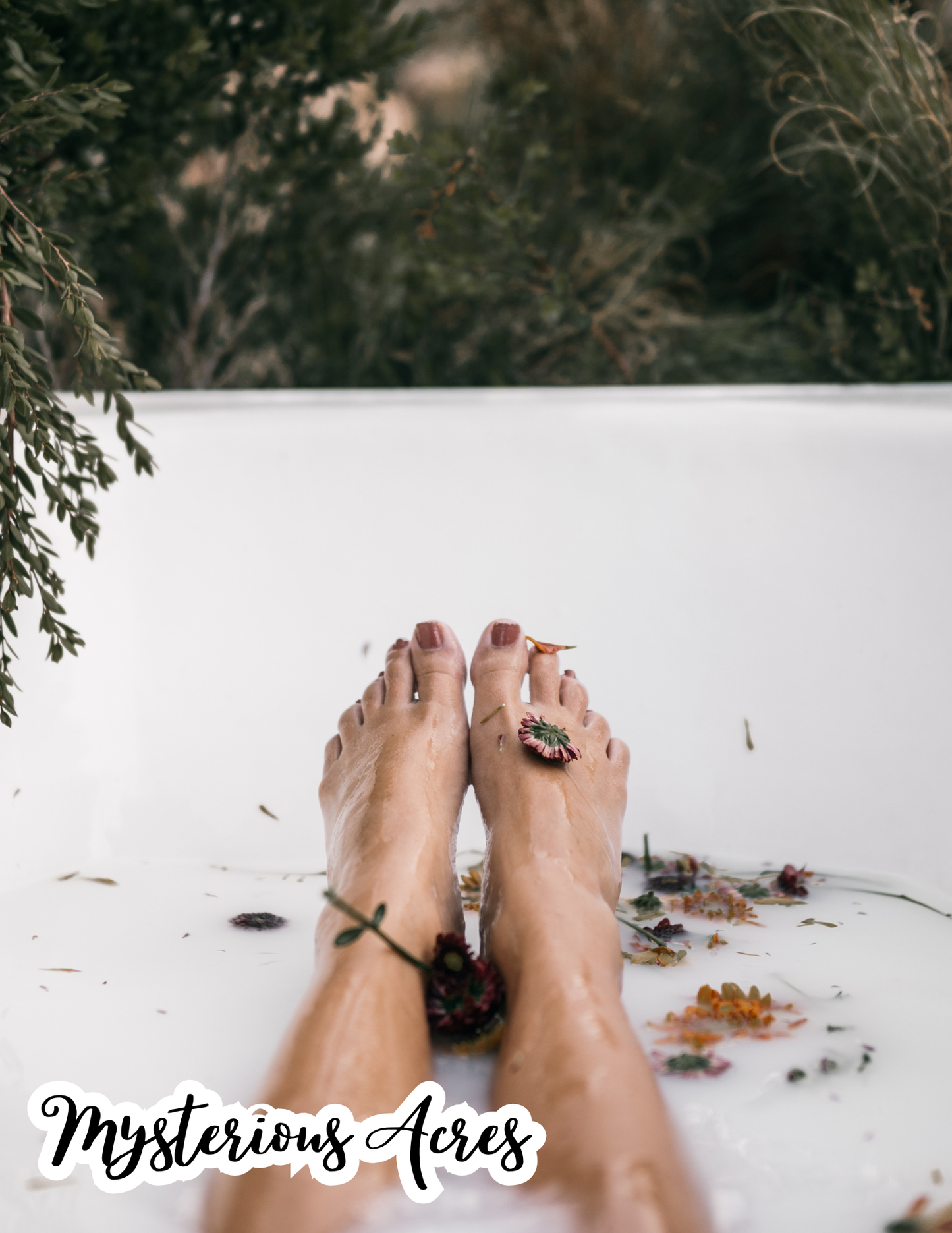 Once it Melts to Milk ❦