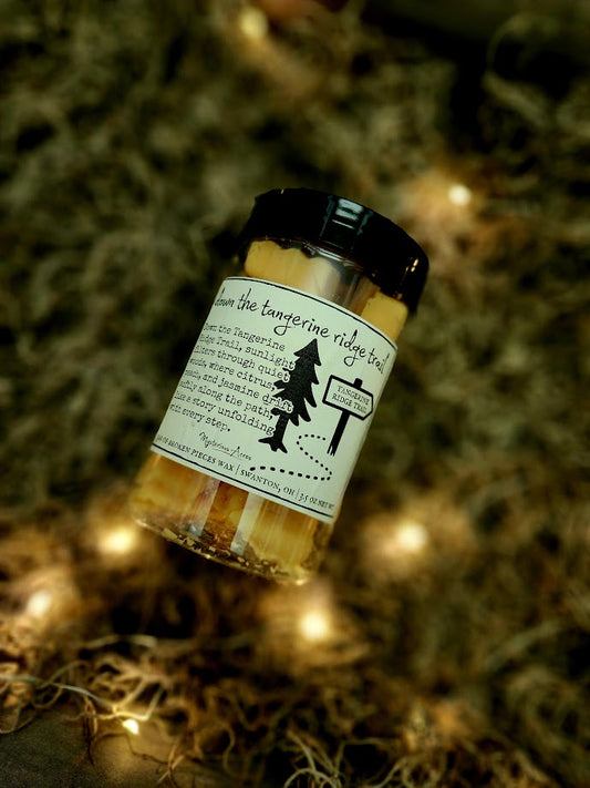 A jar of Mysterious Acres down the tangerine trail broken pieces wax melts, featuring a black lid and a label with a gothic illustration, resting on a bed of dried moss with warm fairy lights.