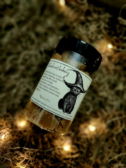 A jar of Mysterious Acres black cat bakery broken pieces wax melts, featuring a black lid and a label with a gothic illustration, resting on a bed of dried moss with warm fairy lights.