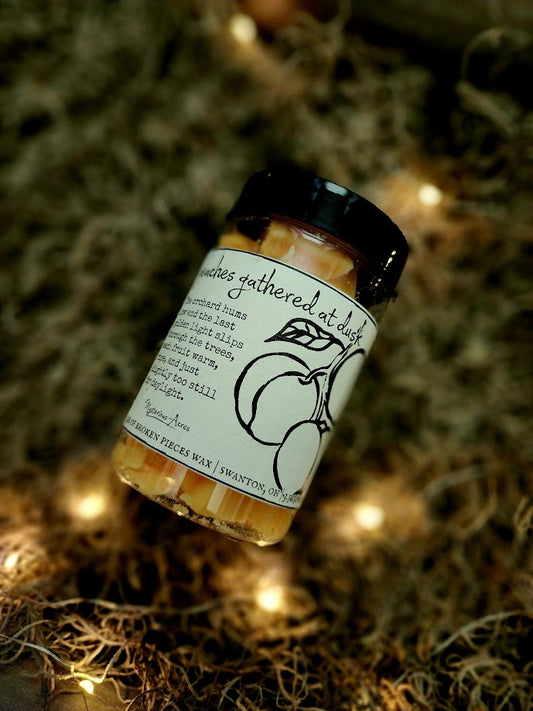 A jar of Mysterious Acres peaches gathered at dusk broken pieces wax melts, featuring a black lid and a label with a gothic illustration, resting on a bed of dried moss with warm fairy lights.