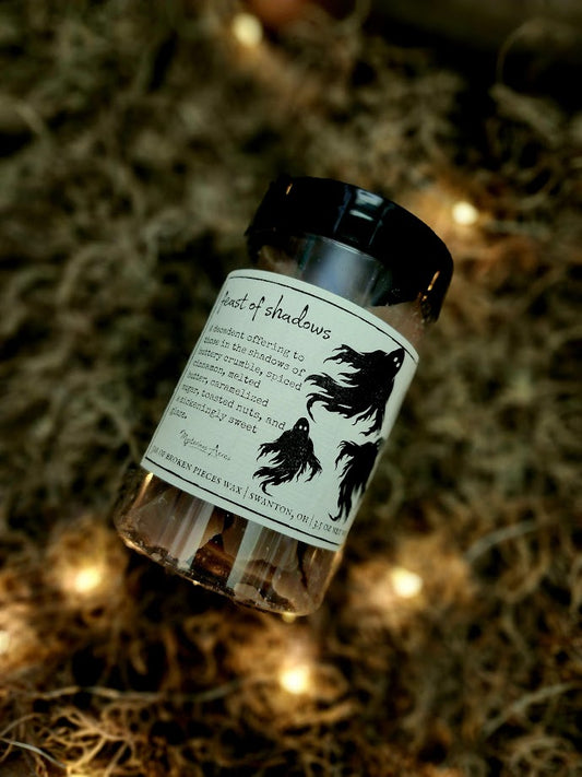 A jar of Mysterious Acres feast of shadows broken pieces wax melts, featuring a black lid and a label with a gothic illustration, resting on a bed of dried moss with warm fairy lights.