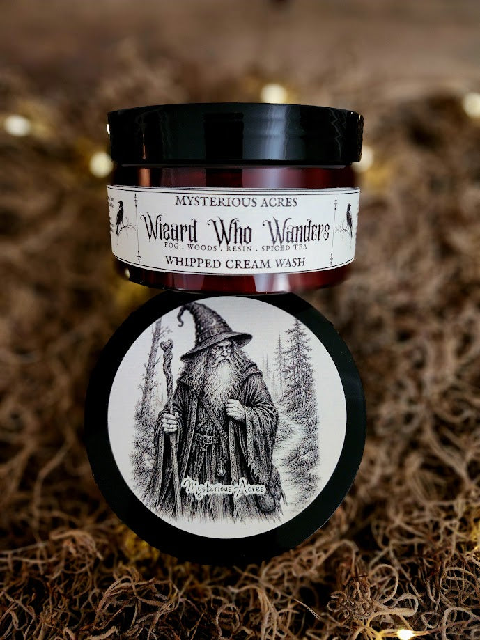 Wizard Who Wanders