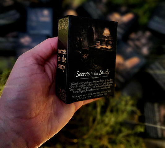 Secrets in the Study