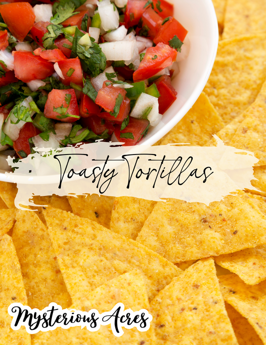 Toasty Tortillas